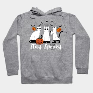 Stay Spooky Halloween Cats Funny Cat Ghost Pumpkin Hoodie